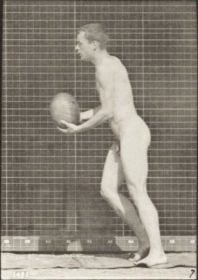 Plate 301 Football, punt — figure reference